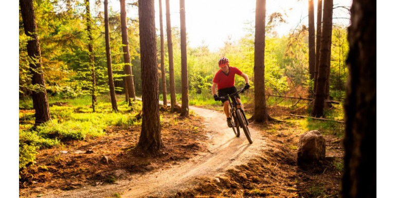 ¿Por qué las bicicletas de montaña son tan populares?