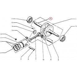 MEDIO CIGÜEÑAL LADO DERECHO PARA HONDA PX50